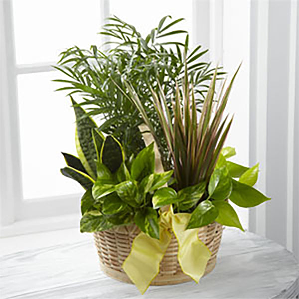The FTD® French Garden™