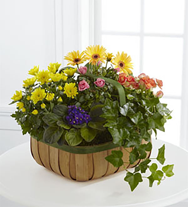 The FTD® Gentle Blossoms™ Basket – Walnut Creek Florist, Walnut Creek CA