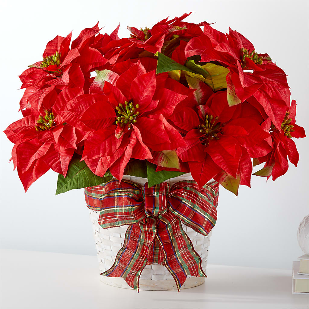 Happiest Holidays Poinsettia – Walnut Creek Florist, Walnut Creek CA