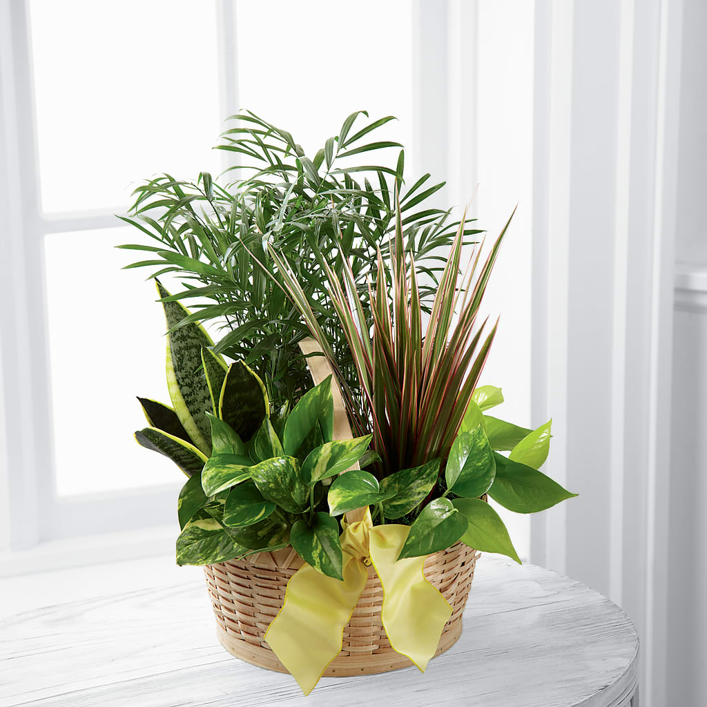 French Garden – Walnut Creek Florist, Walnut Creek CA