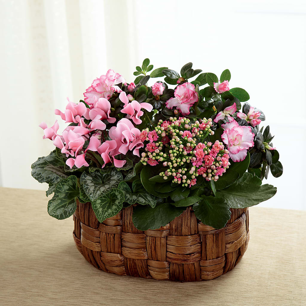 Pink Assortment – Walnut Creek Florist, Walnut Creek CA