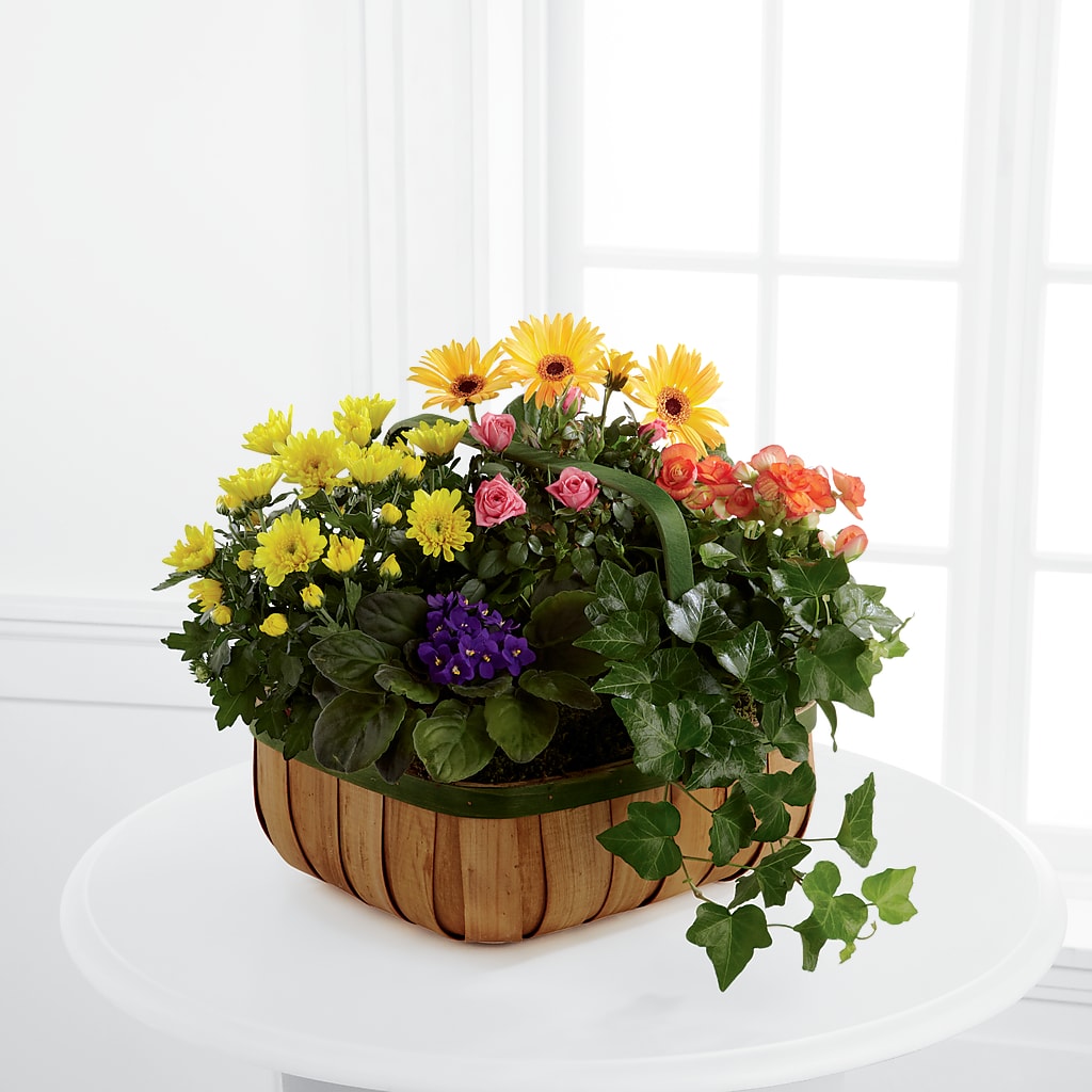 Gentle Blossoms Basket – Walnut Creek Florist, Walnut Creek CA
