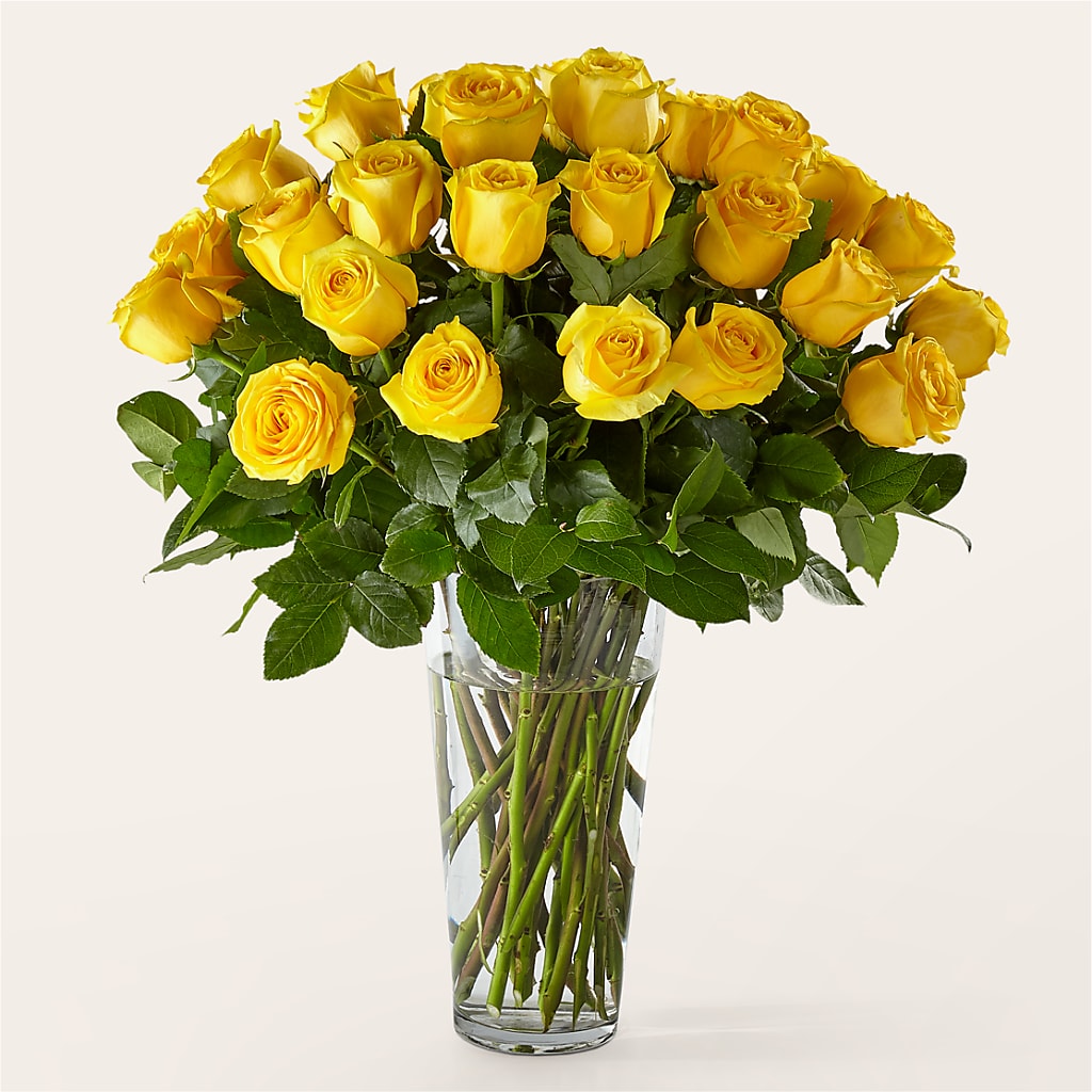 Long Stem Yellow Rose Bouquet – Walnut Creek Florist, Walnut Creek CA