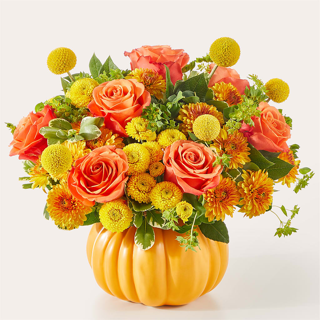 Gourdgeous Pumpkin – Walnut Creek Florist, Walnut Creek CA