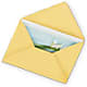 Greeting Card – Walnut Creek Florist, Walnut Creek CA