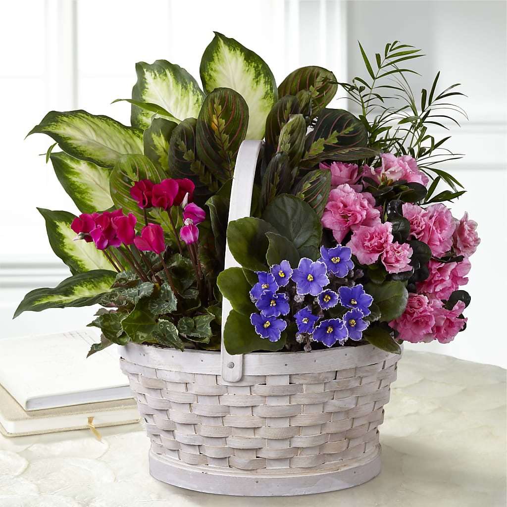 Peaceful Garden Planter – Walnut Creek Florist, Walnut Creek CA