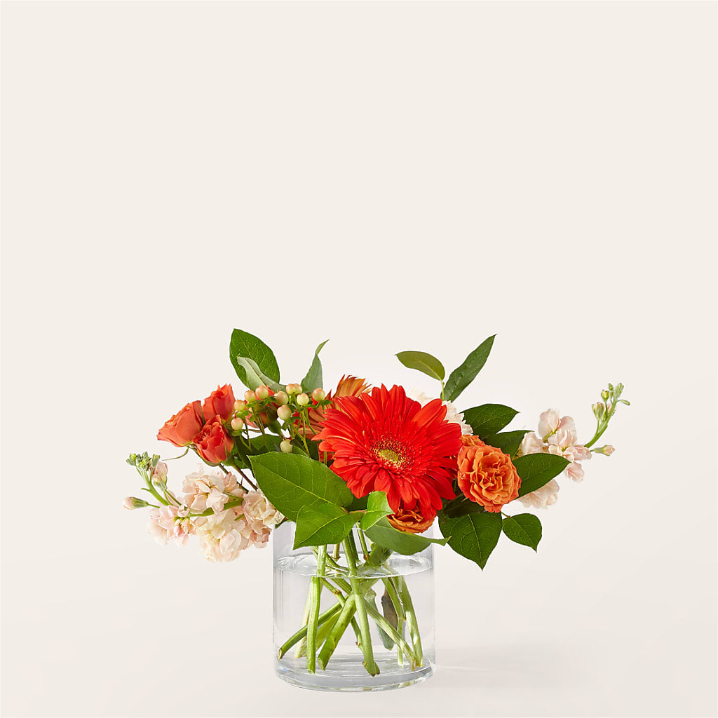 Paloma Please Bouquet – Walnut Creek Florist, Walnut Creek CA
