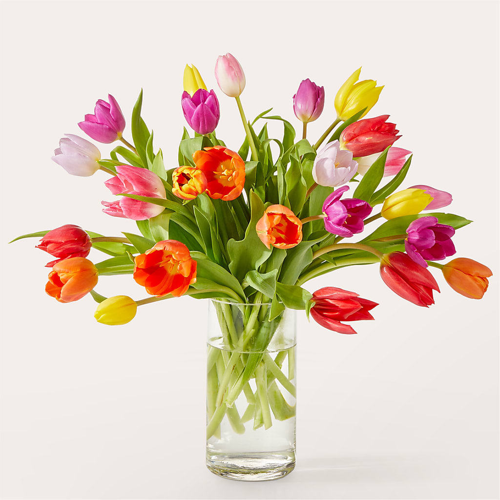 Let's Talk Tulips Bouquet – Walnut Creek Florist, Walnut Creek CA
