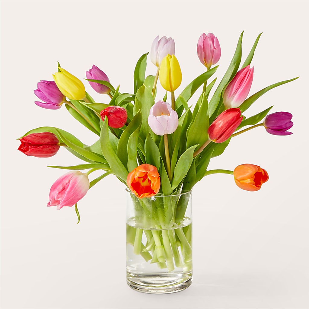 Let's Talk Tulips Bouquet – Walnut Creek Florist, Walnut Creek CA