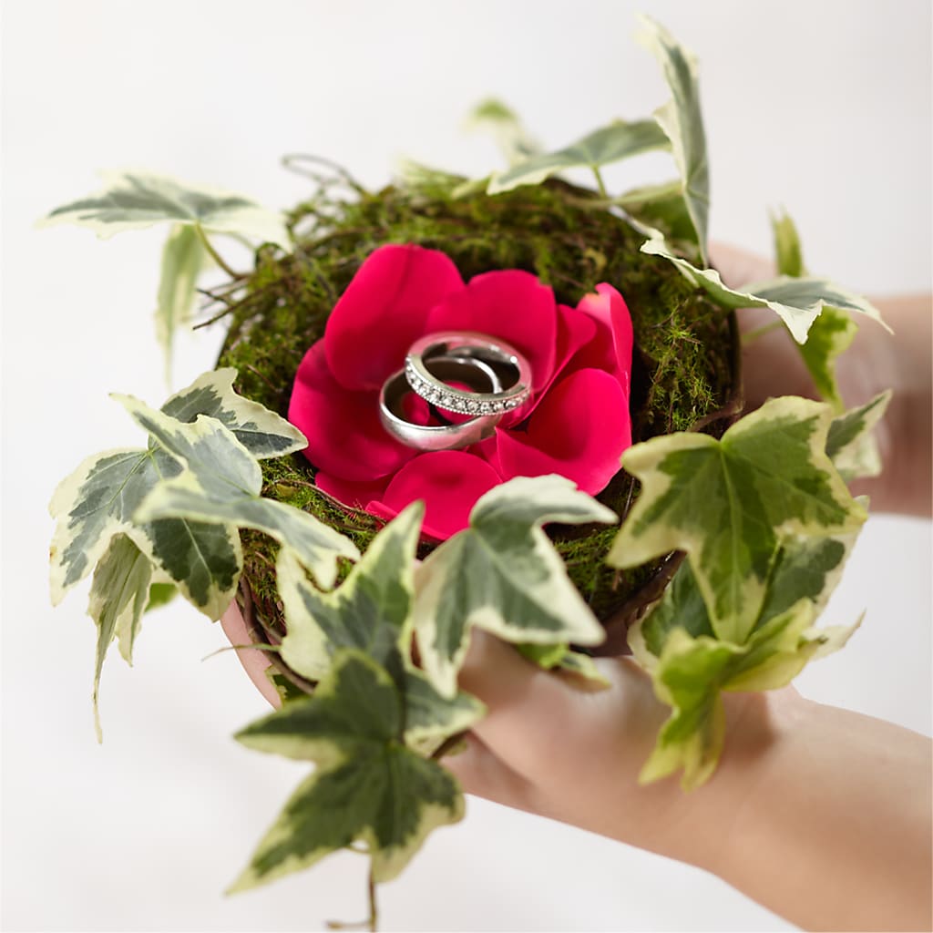 Lila Rose Ring Nest – Walnut Creek Florist, Walnut Creek CA