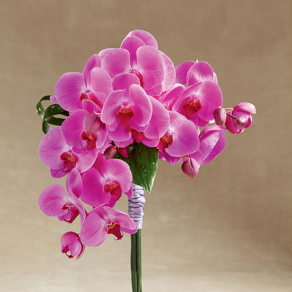 Glorious Bouquet – Walnut Creek Florist, Walnut Creek CA
