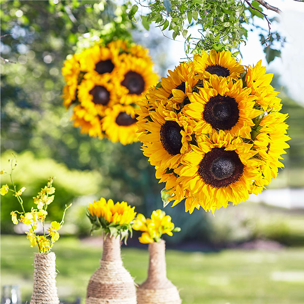 Sublime Garden Hanging Arrangement – Walnut Creek Florist, Walnut Creek CA