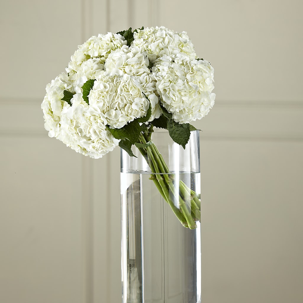 White Hydrangea Hand-Tied Bouquet – Walnut Creek Florist, Walnut Creek CA