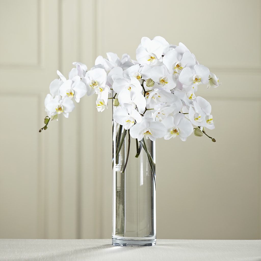 White Phalaenopsis Bouquet – Walnut Creek Florist, Walnut Creek CA