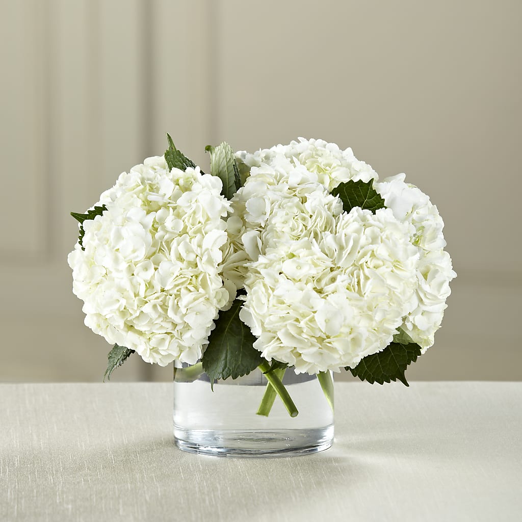 White Hydrangea Bouquet – Walnut Creek Florist, Walnut Creek CA