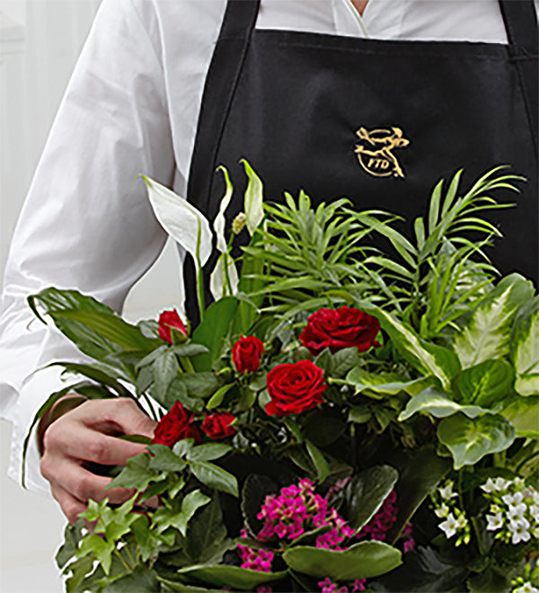 FTD Florist Designed Blooming and Green Plants in a Basket