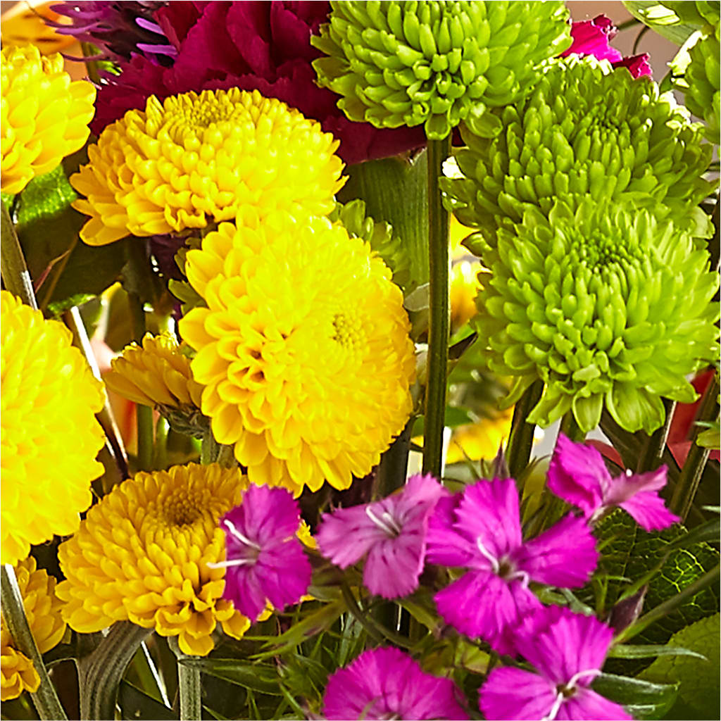Bold & Bright – A Florist Original –  Walnut Creek Florist, Walnut Creek CA