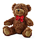 Adorable Plush Bear –  Walnut Creek Florist, Walnut Creek CA