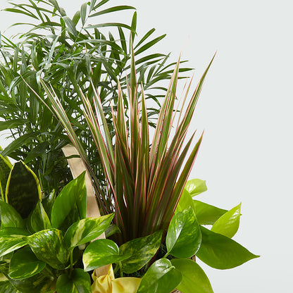 French Garden –  Walnut Creek Florist, Walnut Creek CA