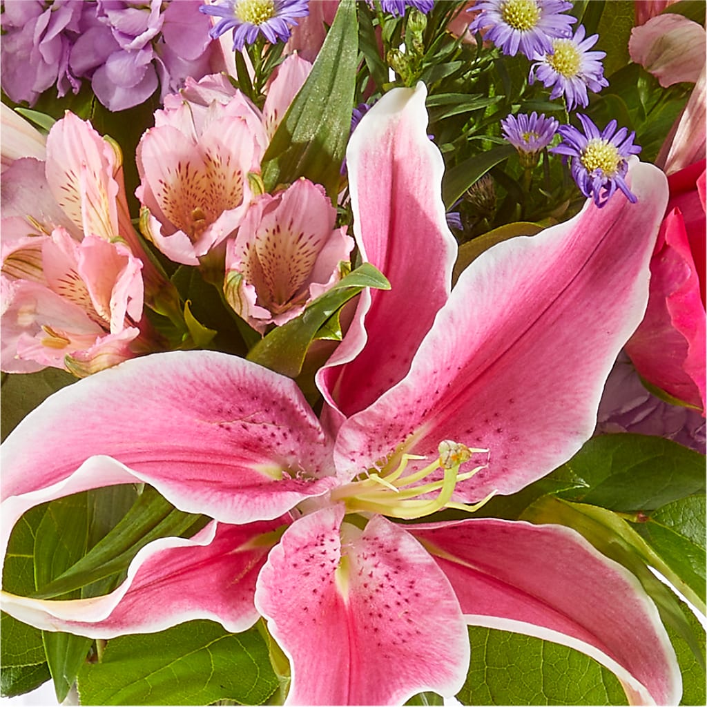 Written in the Stars Bouquet –  Walnut Creek Florist, Walnut Creek CA