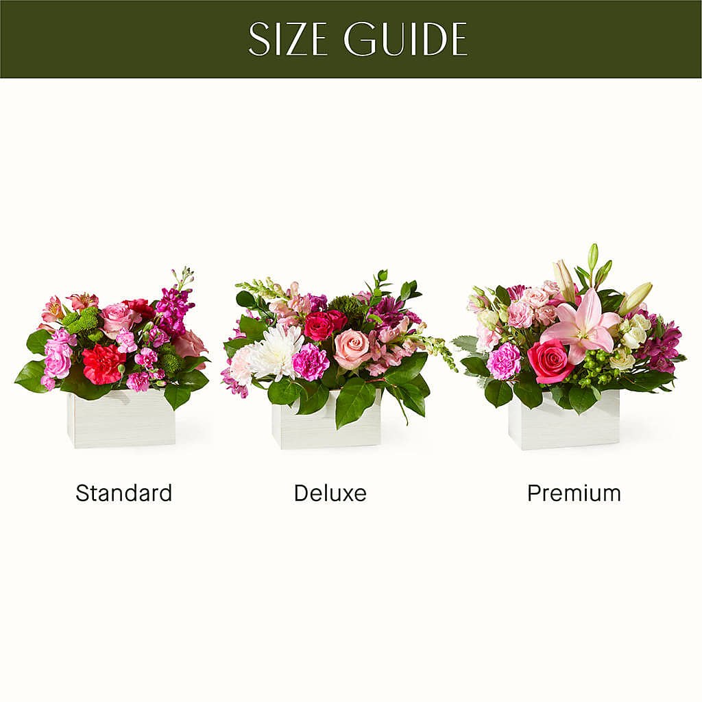 Sweetberry Box – A Florist Original –  Walnut Creek Florist, Walnut Creek CA