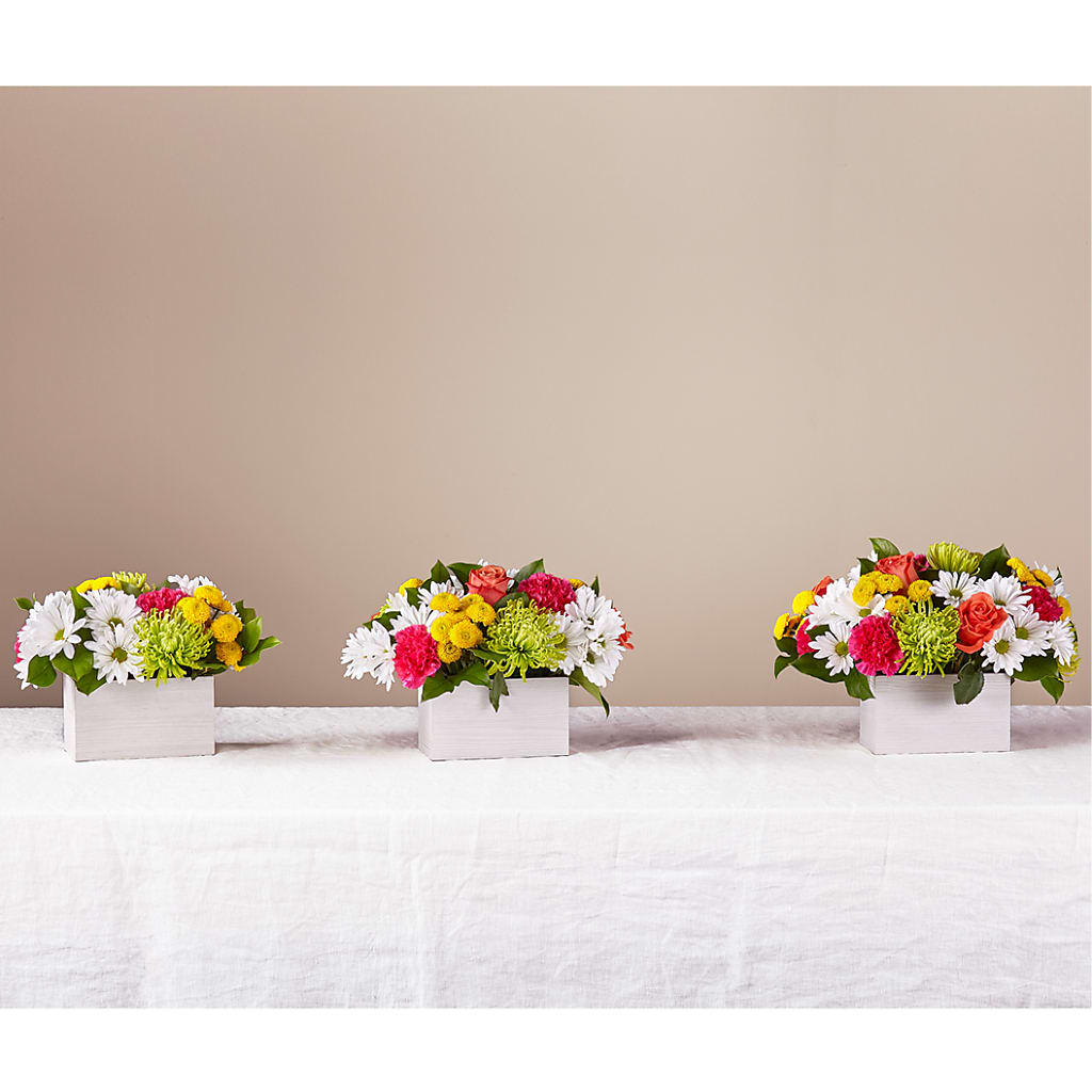 Sorbet Bouquet –  Walnut Creek Florist, Walnut Creek CA