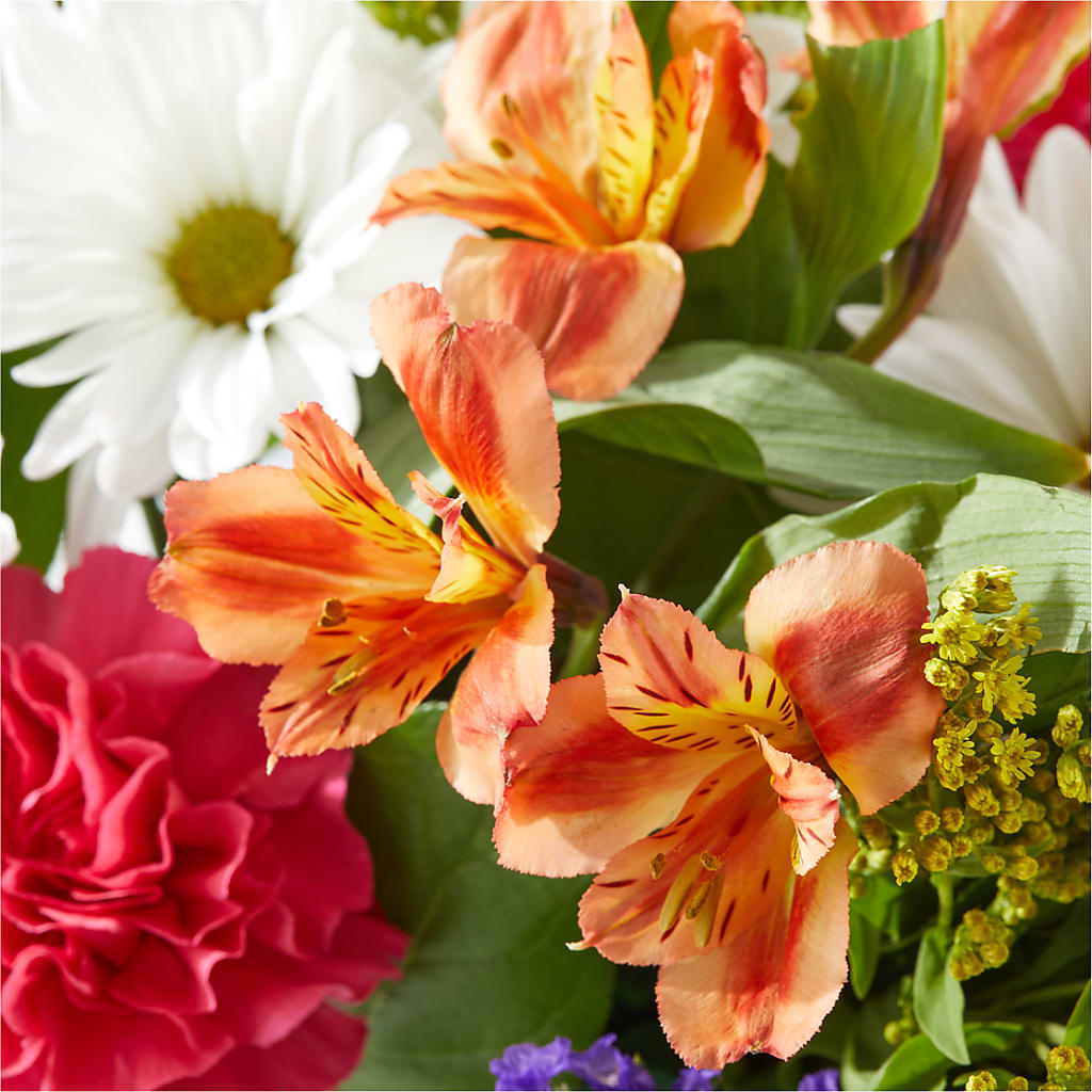 Oopsie Daisy Box Bouquet –  Walnut Creek Florist, Walnut Creek CA