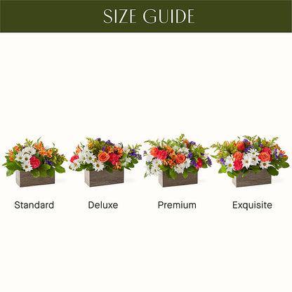 Oopsie Daisy Box Bouquet –  Walnut Creek Florist, Walnut Creek CA