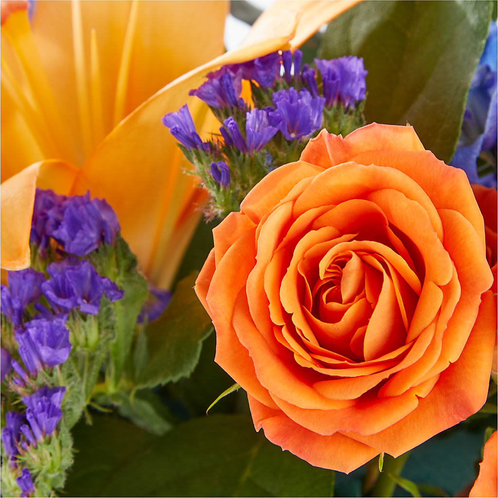 Radiant Citrus Box Bouquet –  Walnut Creek Florist, Walnut Creek CA