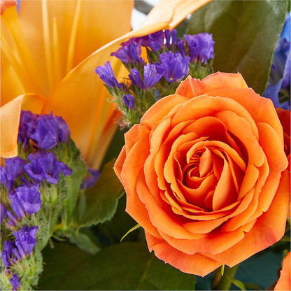 Radiant Citrus Box Bouquet –  Walnut Creek Florist, Walnut Creek CA