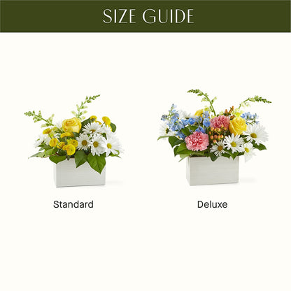 Sun Salutation Box Bouquet –  Walnut Creek Florist, Walnut Creek CA