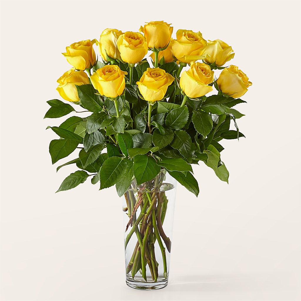 Long Stem Yellow Rose Bouquet –  Walnut Creek Florist, Walnut Creek CA