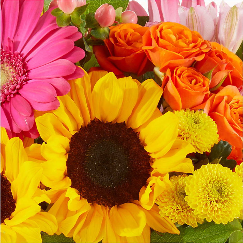 Walnut Creek Florist with SameDay Delivery Walnut Creek Florist