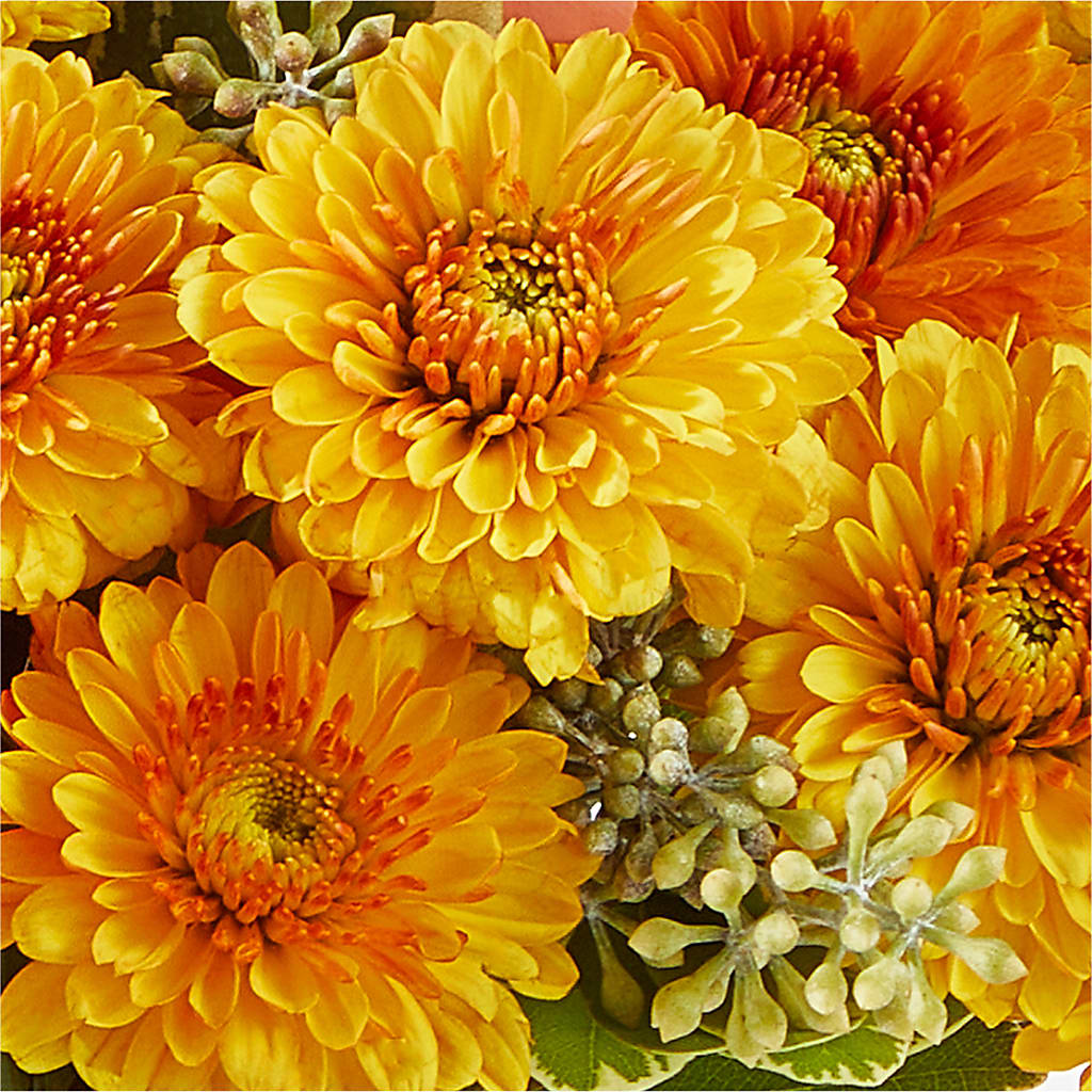 Peachy Pumpkin –  Walnut Creek Florist, Walnut Creek CA