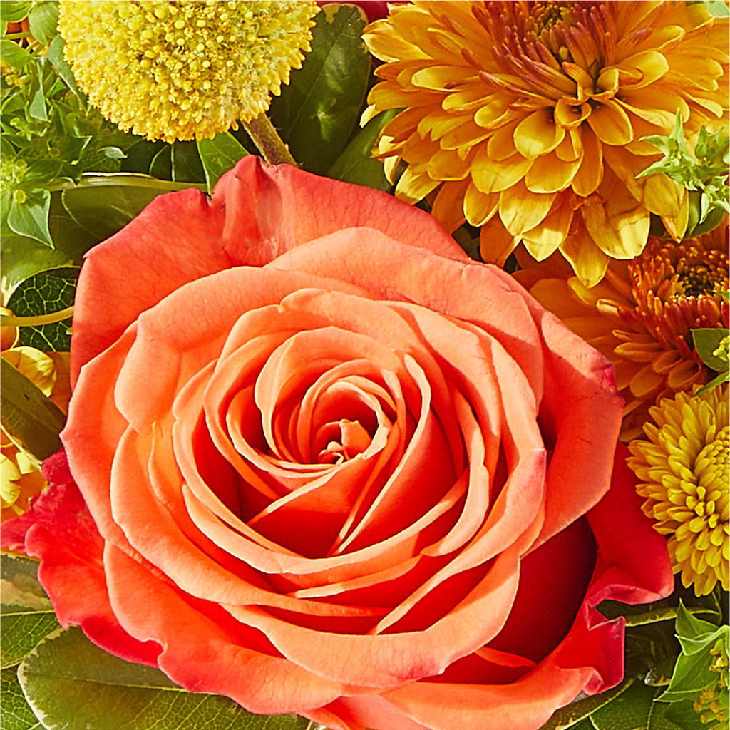 Gourdgeous Pumpkin –  Walnut Creek Florist, Walnut Creek CA