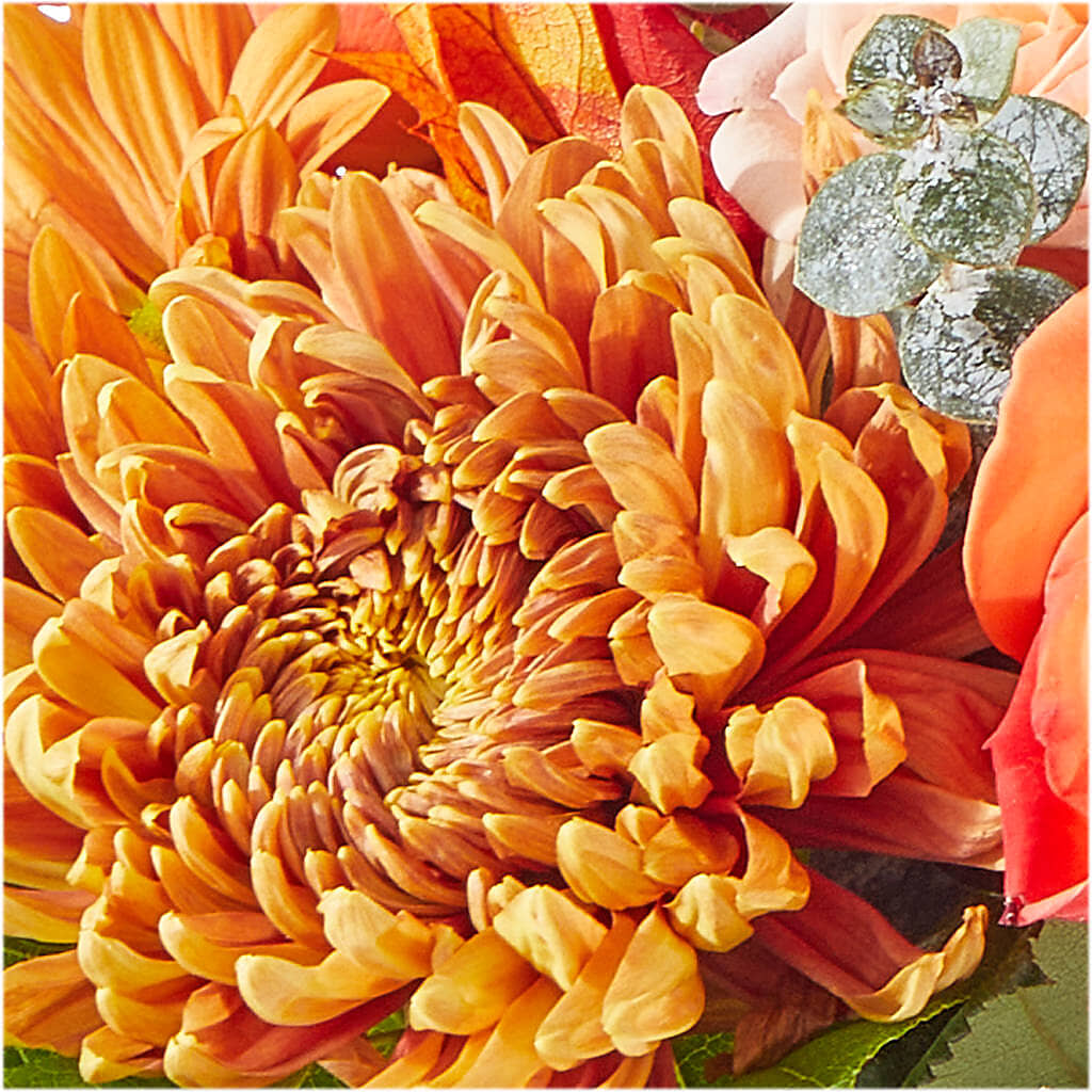 Scenic Route Bouquet –  Walnut Creek Florist, Walnut Creek CA