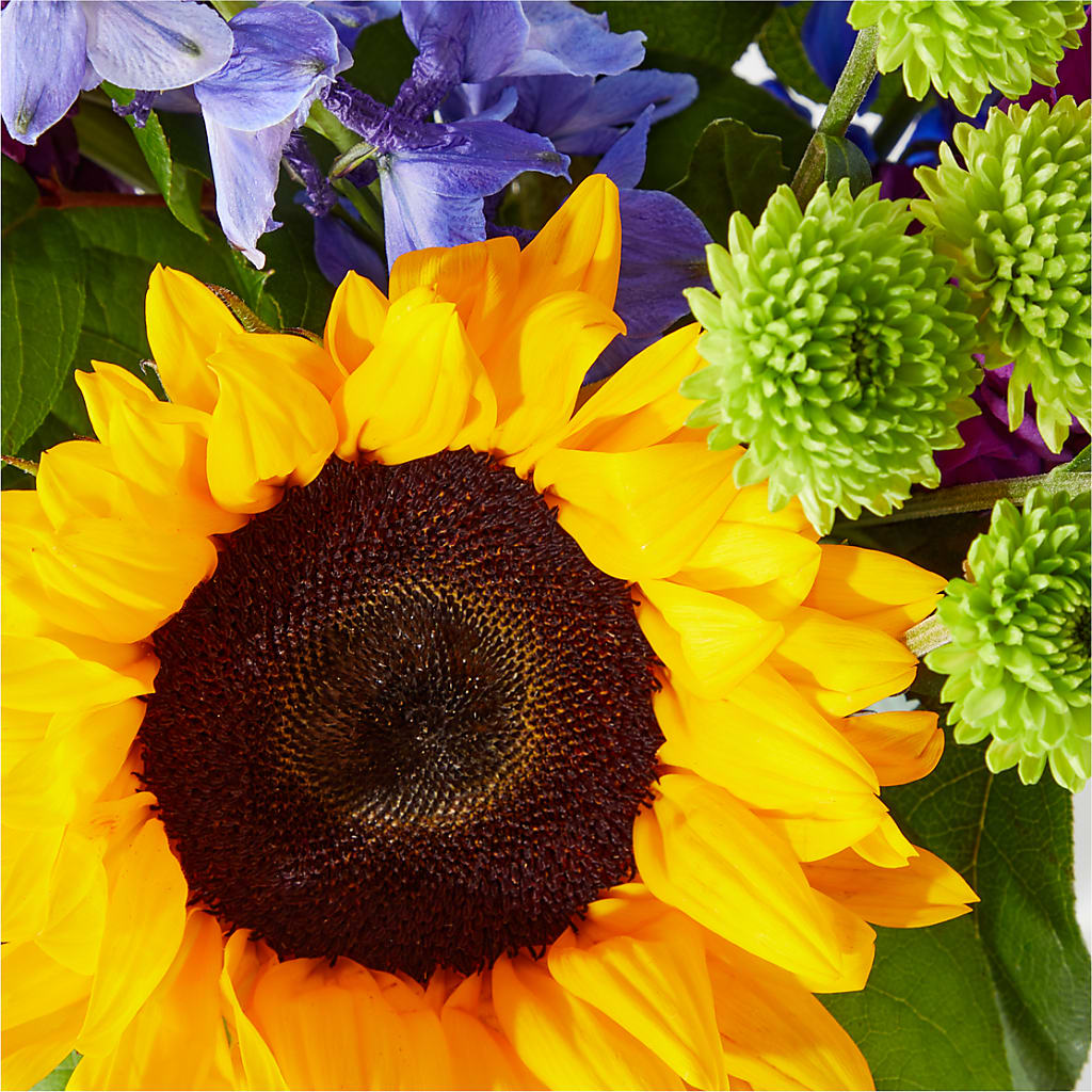Catching Rays Bouquet –  Walnut Creek Florist, Walnut Creek CA