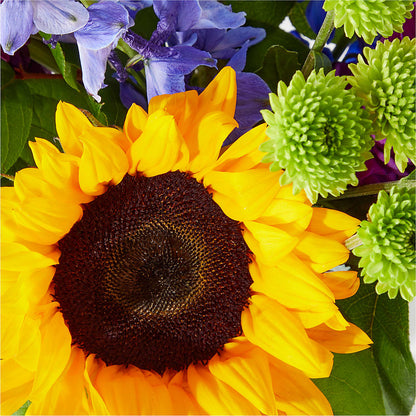 Catching Rays Bouquet –  Walnut Creek Florist, Walnut Creek CA