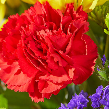 Brighter Days Bouquet –  Walnut Creek Florist, Walnut Creek CA