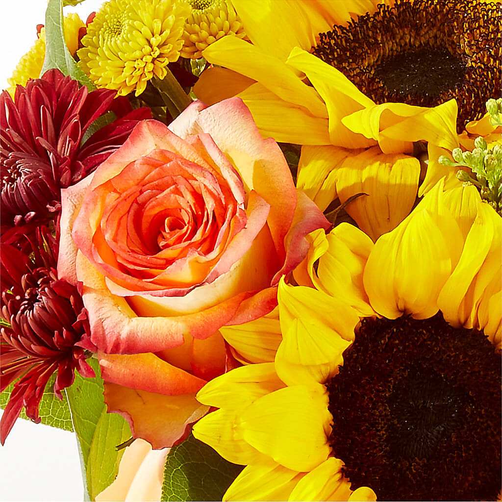 Golden Gourd Pumpkin Bouquet –  Walnut Creek Florist, Walnut Creek CA