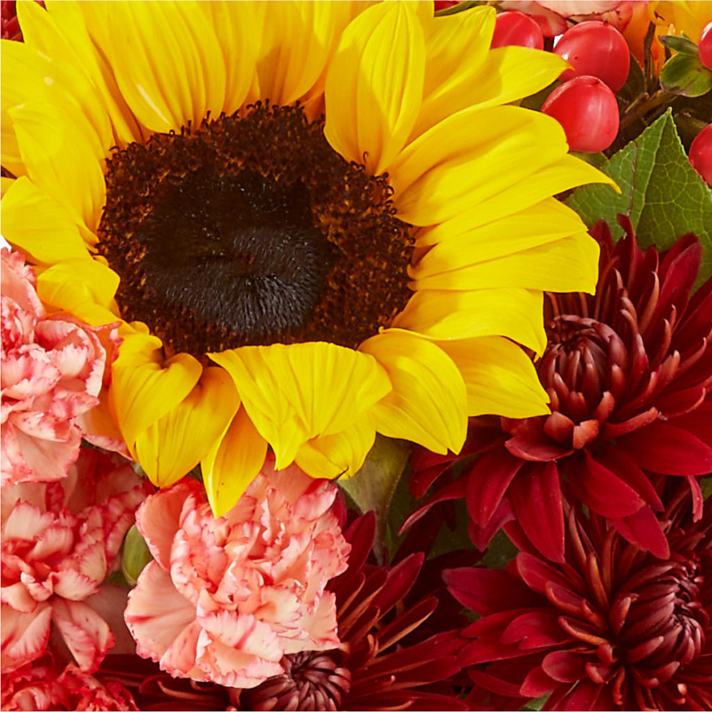 Fresh Cider Bouquet –  Walnut Creek Florist, Walnut Creek CA