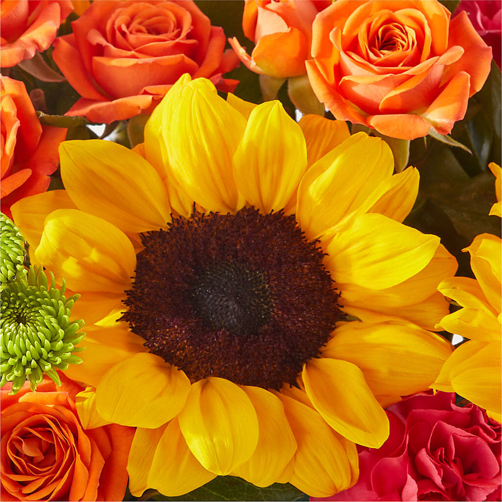 Sun-drenched Blooms Box Bouquet –  Walnut Creek Florist, Walnut Creek CA