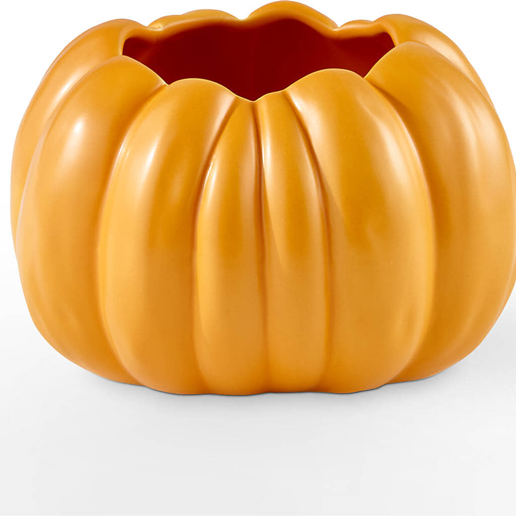 Golden Gourd Pumpkin Bouquet –  Walnut Creek Florist, Walnut Creek CA