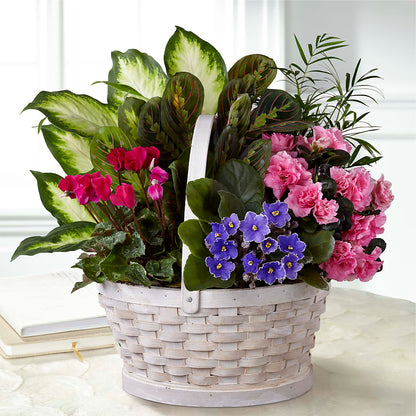 Peaceful Garden Planter –  Walnut Creek Florist, Walnut Creek CA
