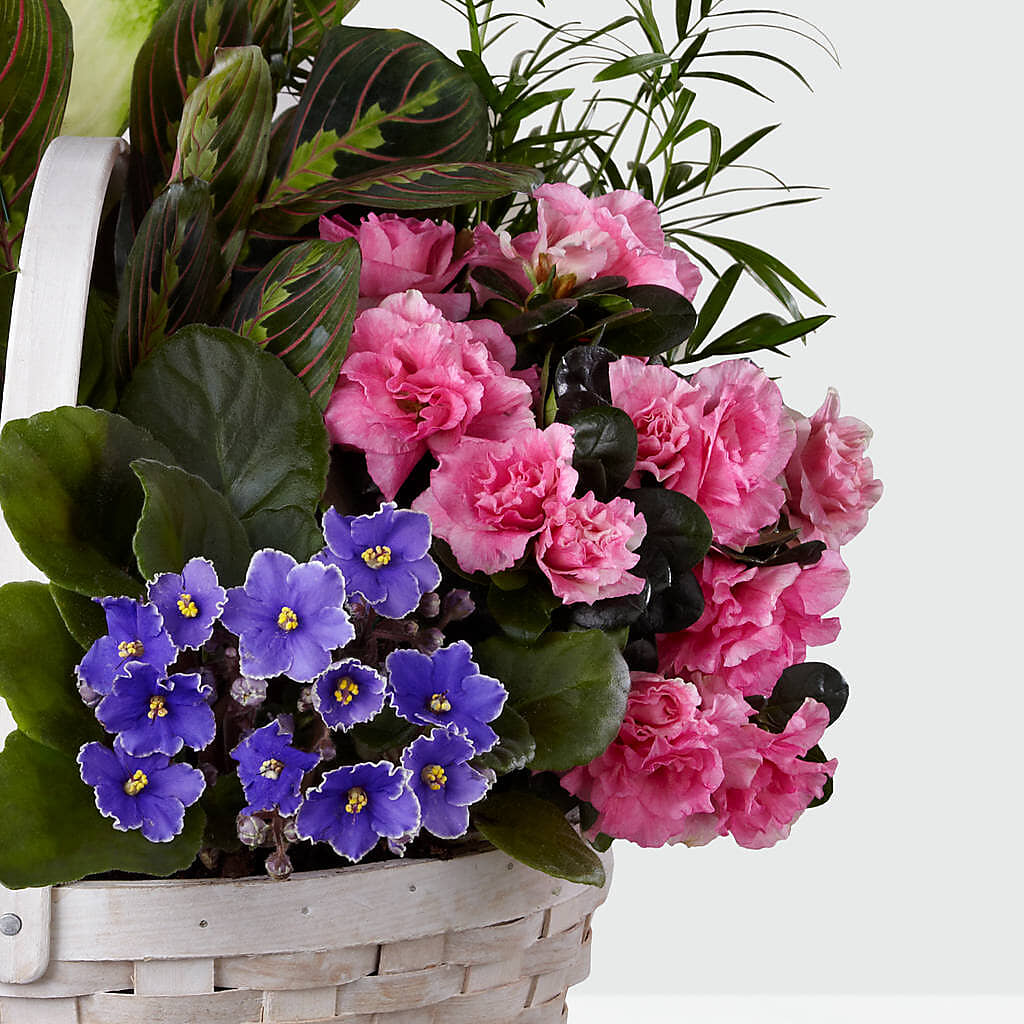 Peaceful Garden Planter –  Walnut Creek Florist, Walnut Creek CA