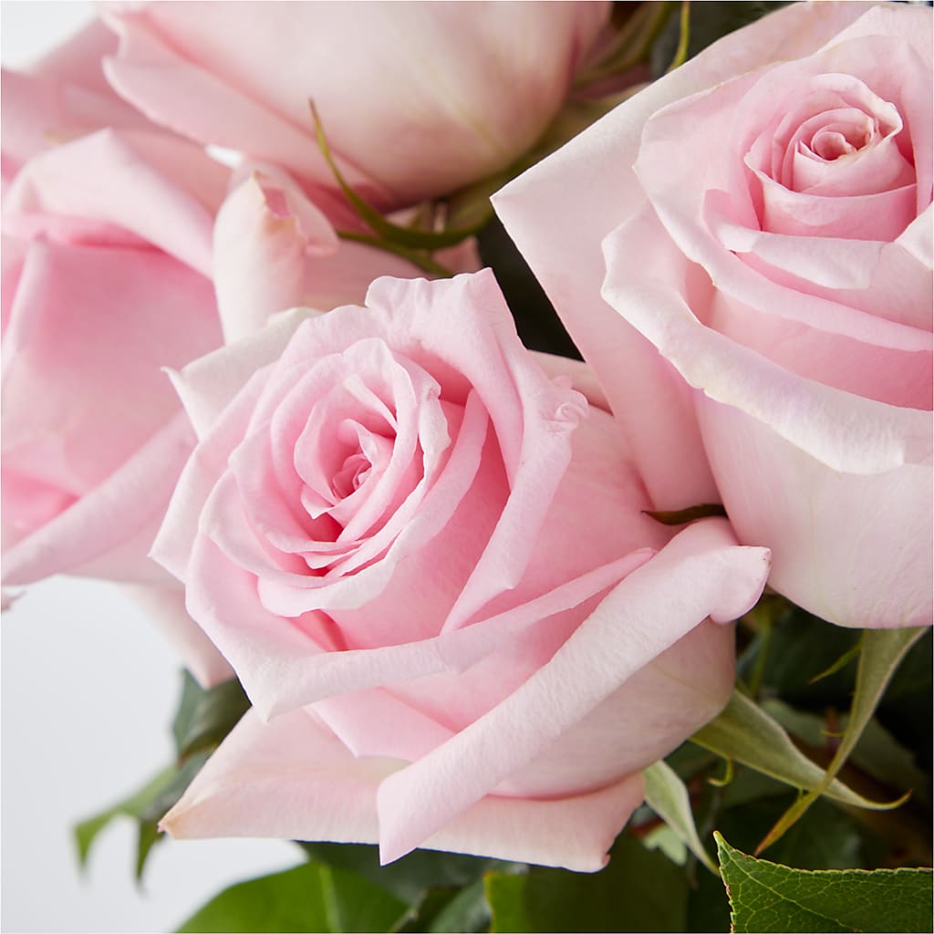 Picture Perfect Pink Rose Bouquet –  Walnut Creek Florist, Walnut Creek CA