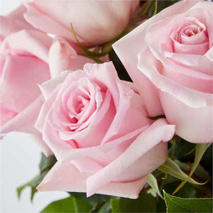 Picture Perfect Pink Rose Bouquet –  Walnut Creek Florist, Walnut Creek CA