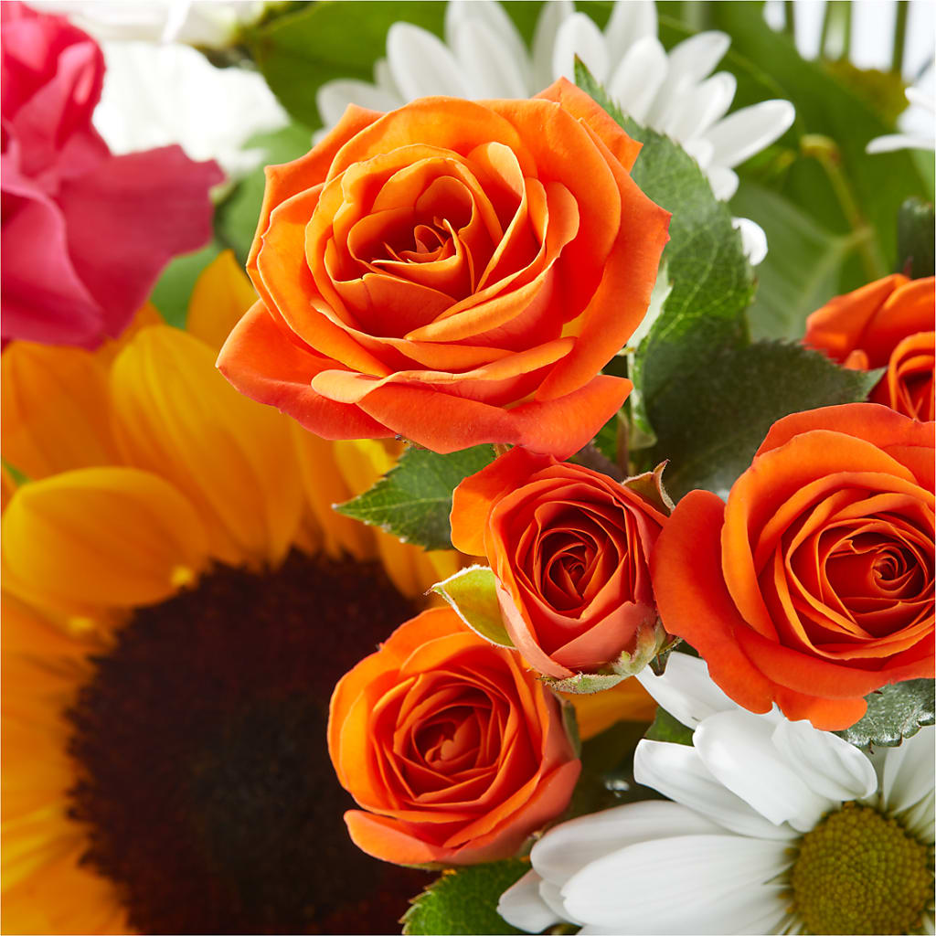 Sun-drenched Blooms Bouquet –  Walnut Creek Florist, Walnut Creek CA