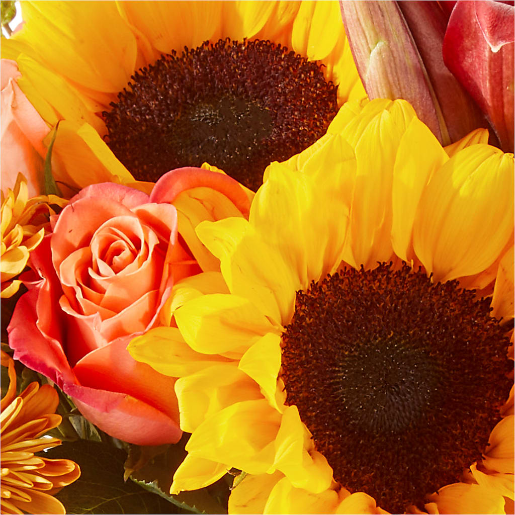 Acorn Lane Bouquet –  Walnut Creek Florist, Walnut Creek CA