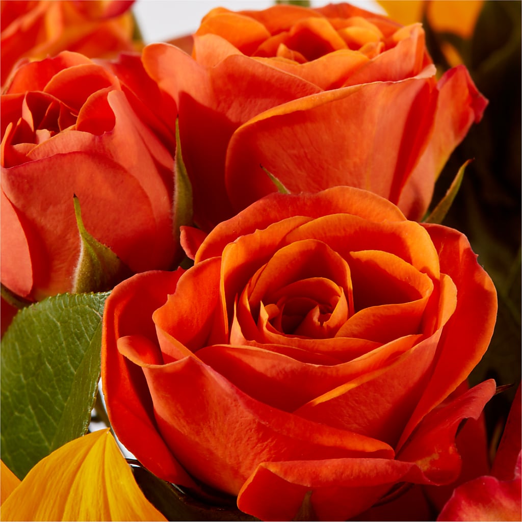Picnic in the Park Bouquet –  Walnut Creek Florist, Walnut Creek CA